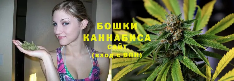 ОМГ ОМГ tor  Полярные Зори  Бошки марихуана Ganja 